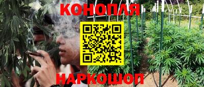 ECSTASY Боровичи