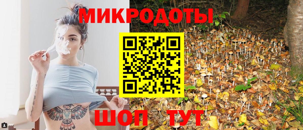 Псилоцибиновые грибы Psilocybe  Алексин  Галлюциногенные грибы Magic Shrooms 