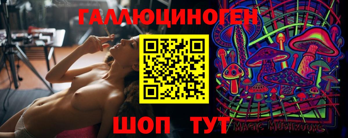 Псилоцибиновые грибы MAGIC MUSHROOMS  Вход с VPN  Алексин  Галлюциногенные грибы мухоморы 