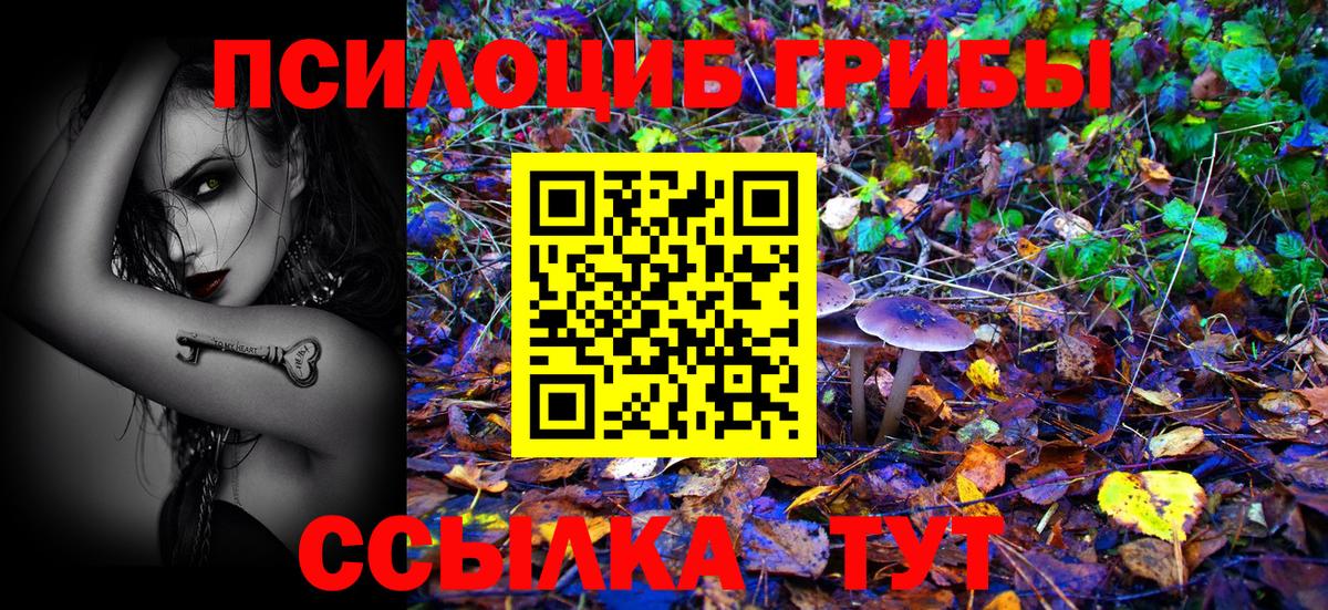 Псилоцибиновые грибы Psilocybe Алексин