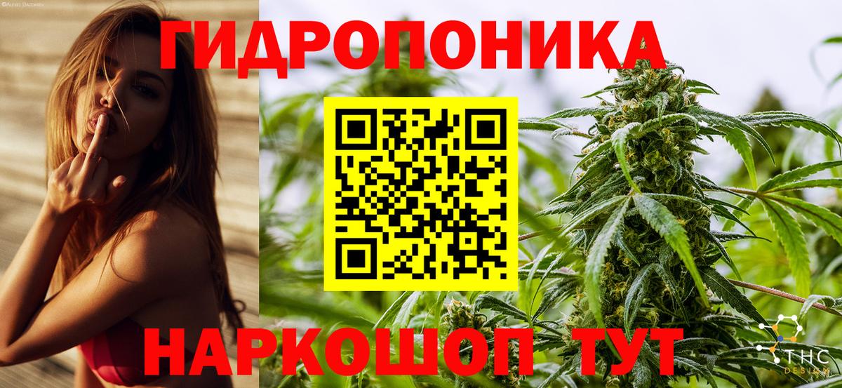 Канабис White Widow  Каннабис семена  МАРИХУАНА гибрид  Бошки марихуана Bruce Banner  Алексин 